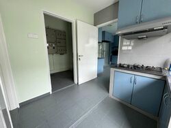Windsor Park (D20), Detached #467826251